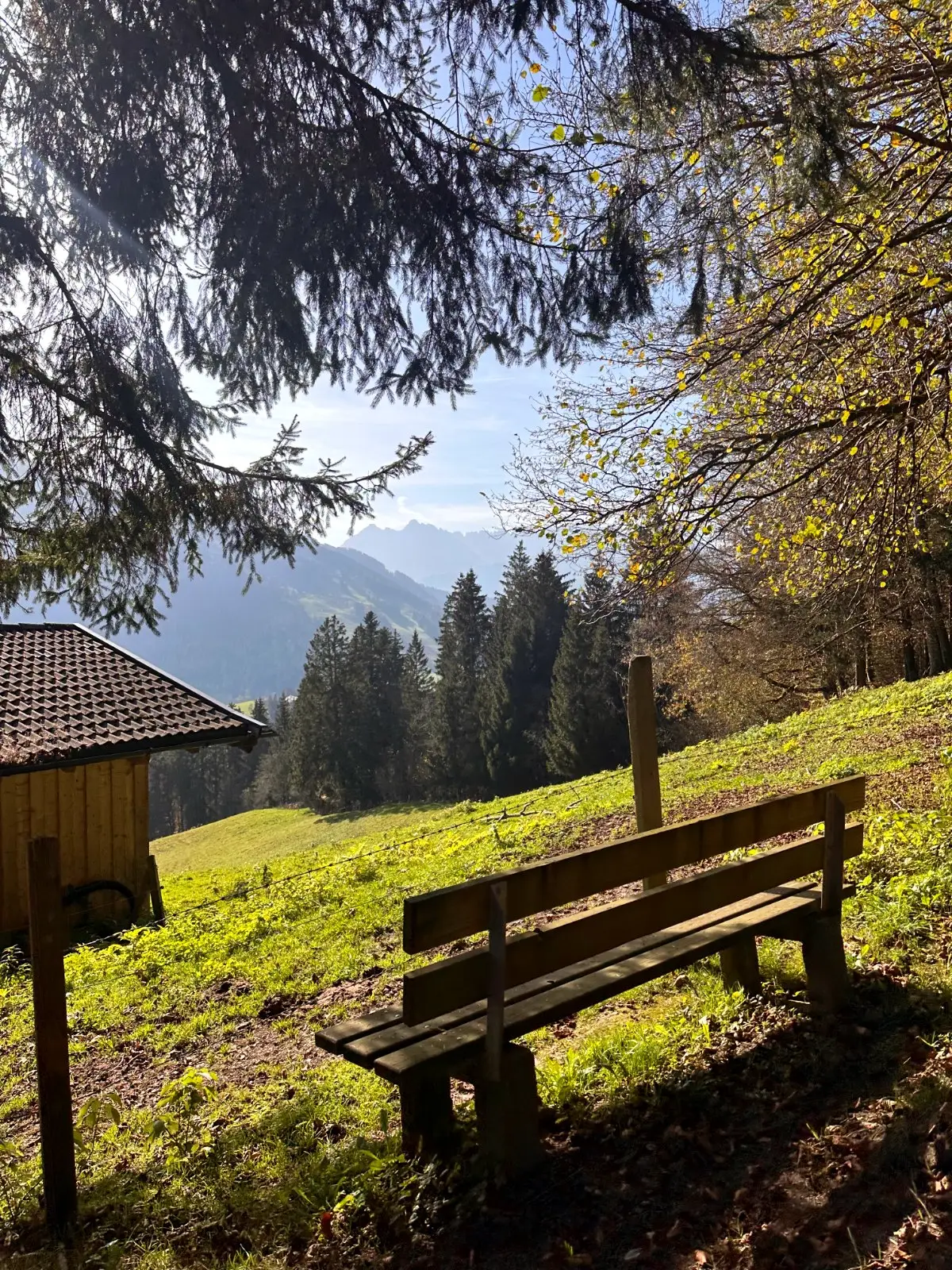 Kaiserblick