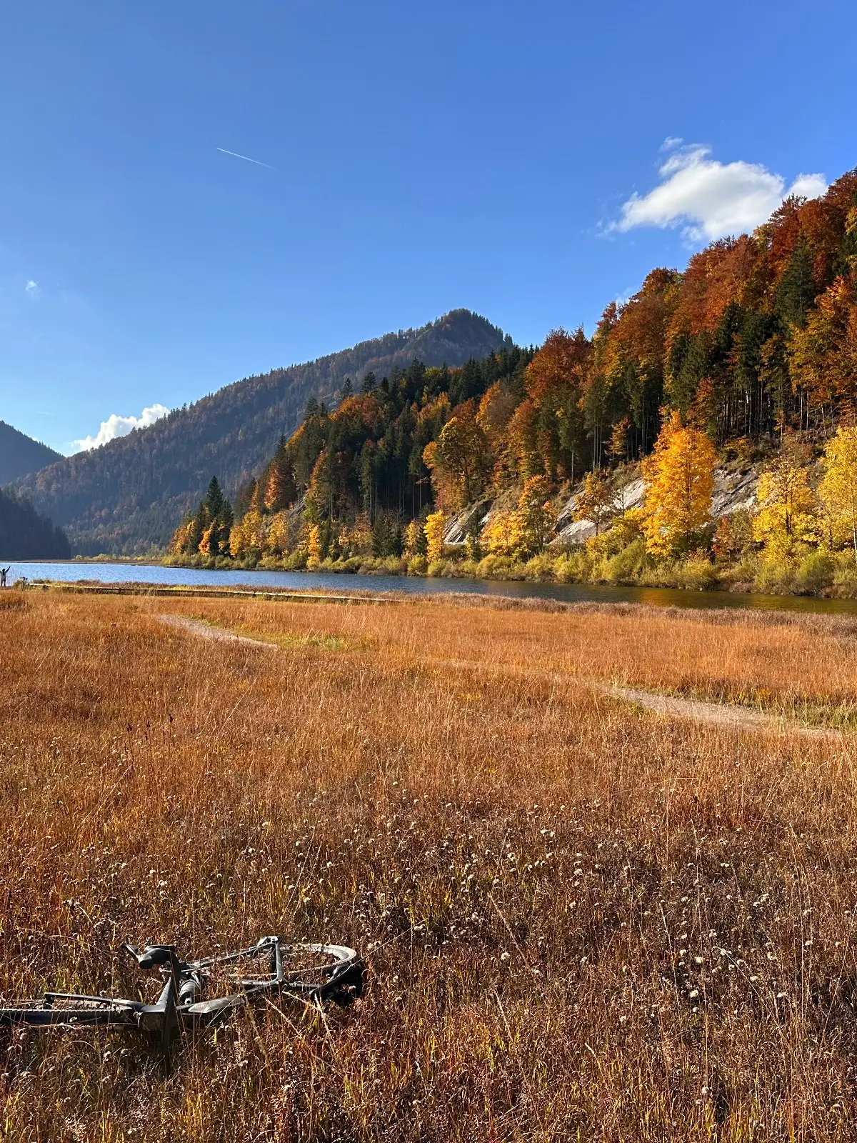 Herbstgold am Ufer im Kaiserwinkl — Gravelbike abgelegt, Füße im rauschenden Schilf.