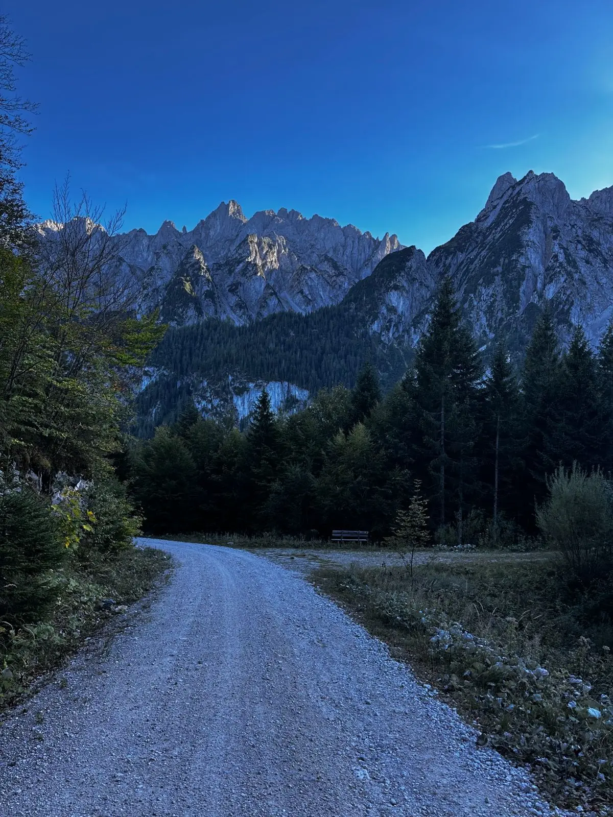 Breiter Schotterweg unter den Zacken des Gosaukamms.